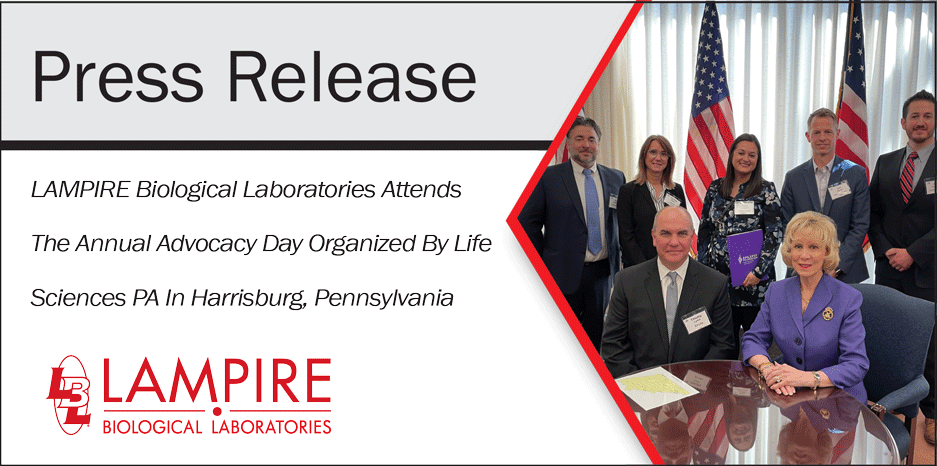 Press Release Banner