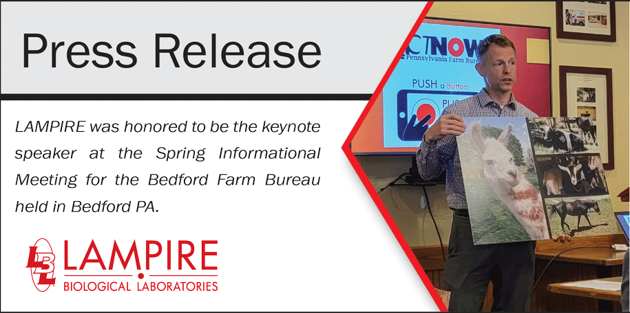 Press Release Banner