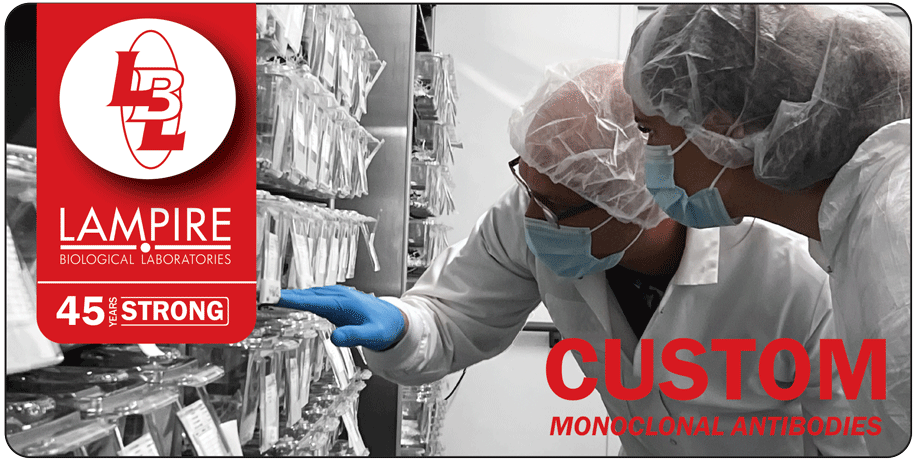 Latest News | Lampire Biological Laboratories, Inc.