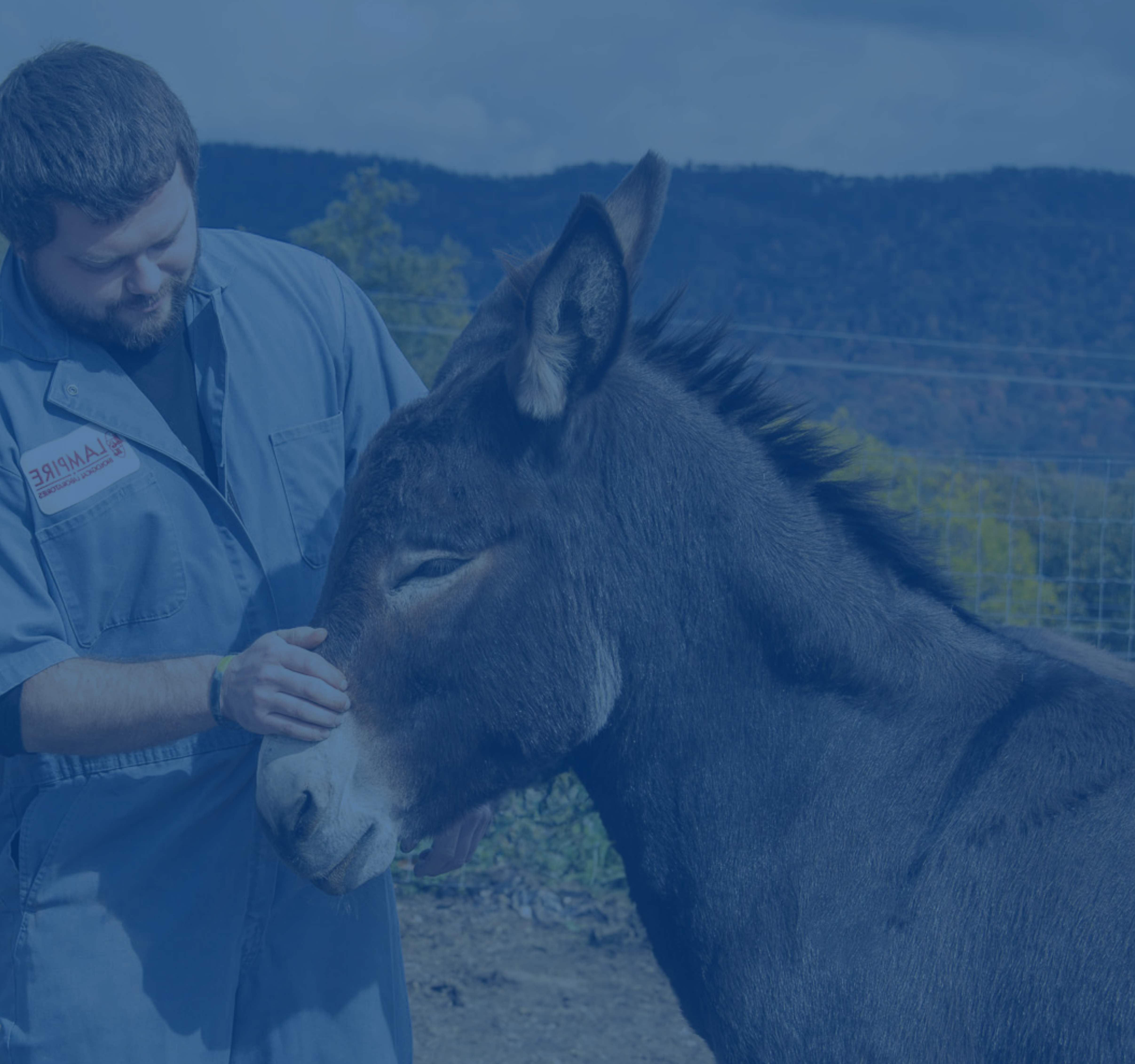 Donkey Serum