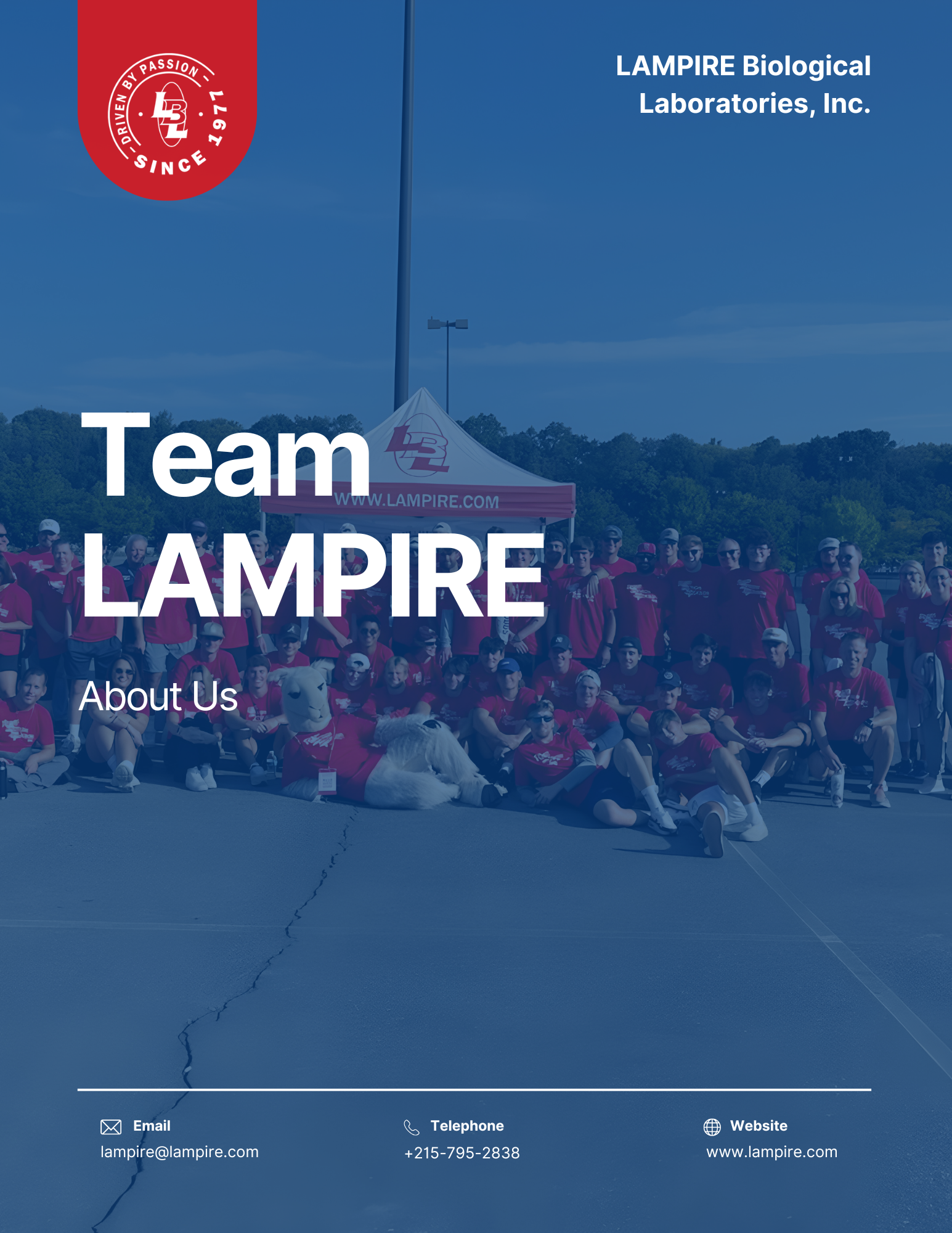 Team Lampire