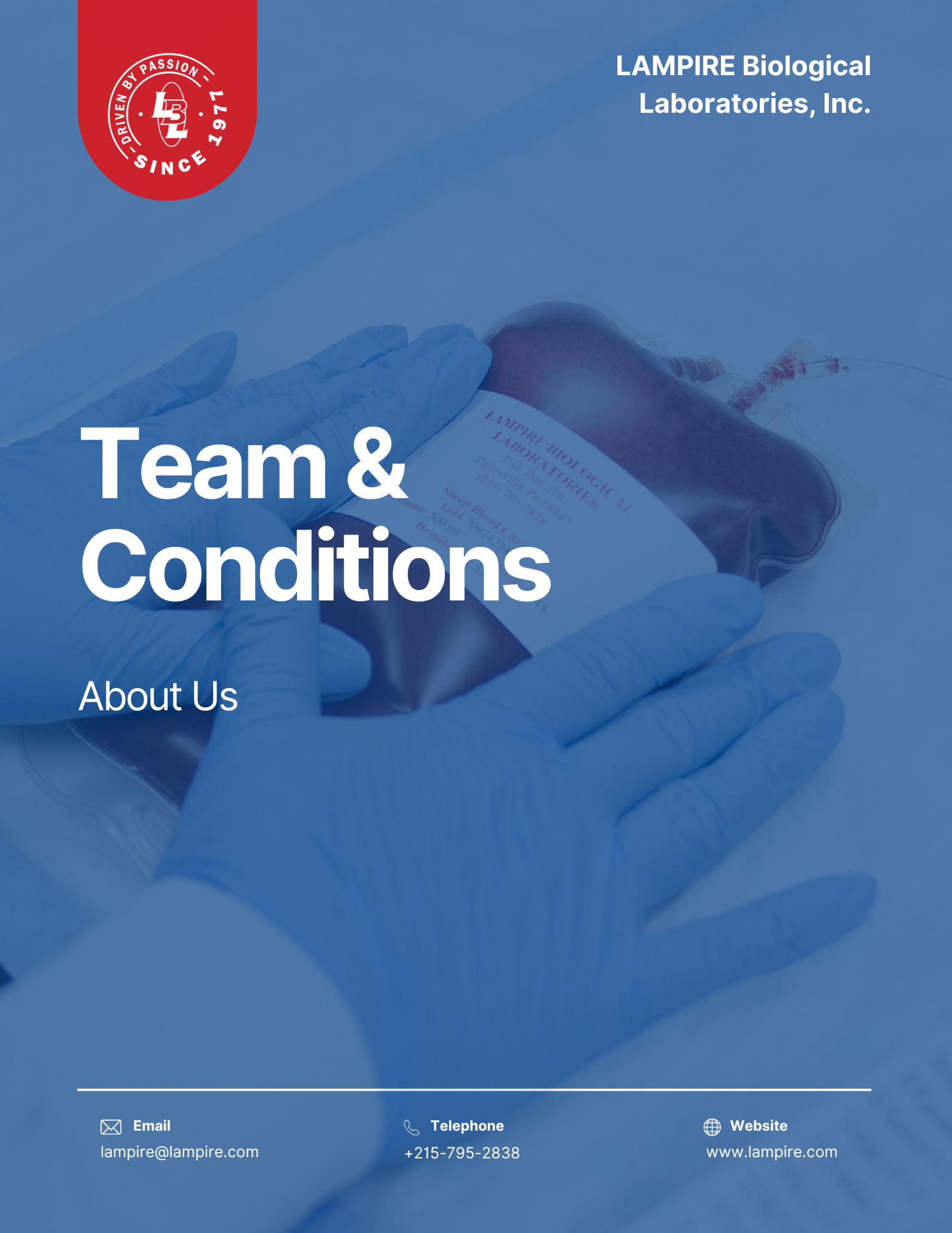 Terms and Conditions