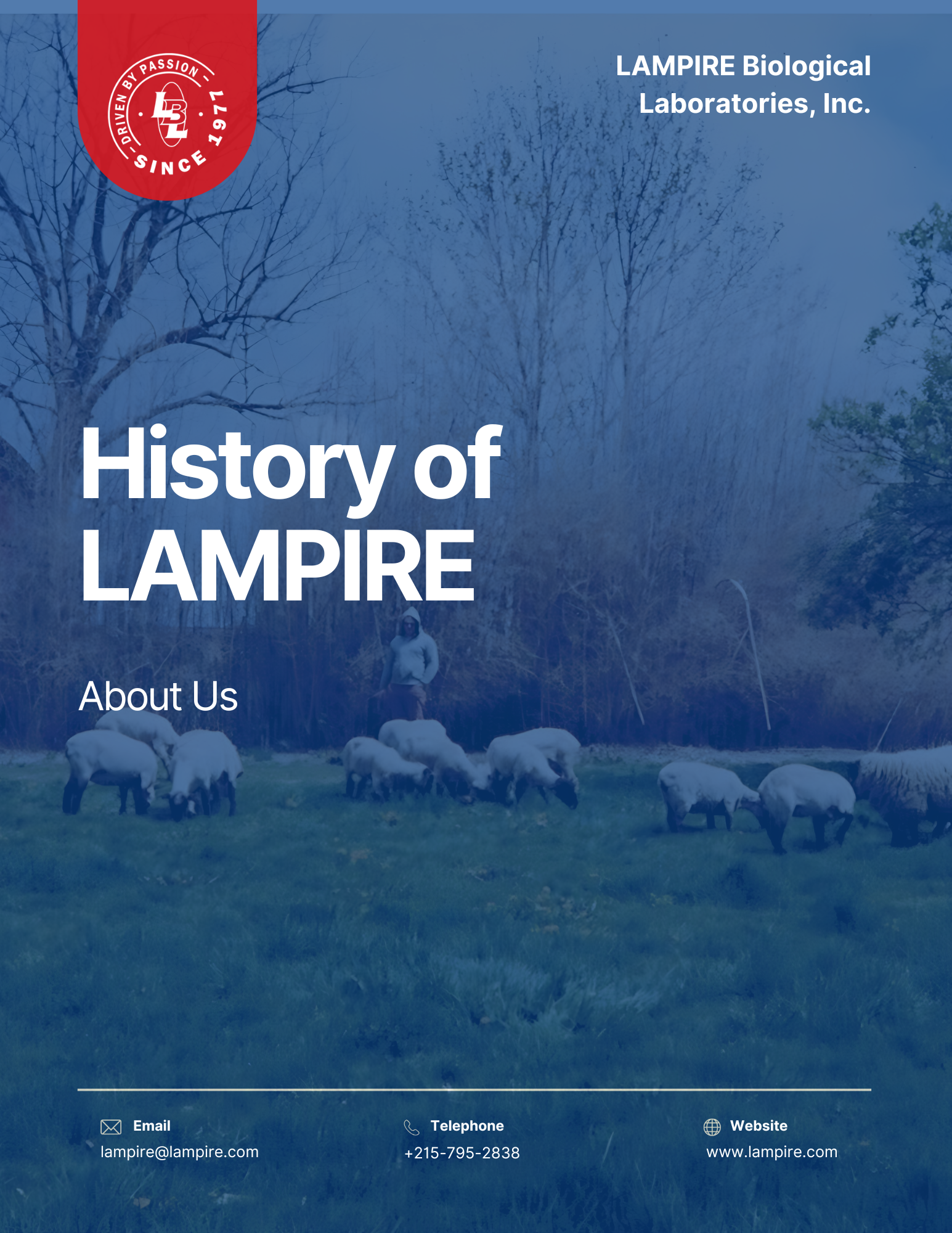 History of LAMPIRE