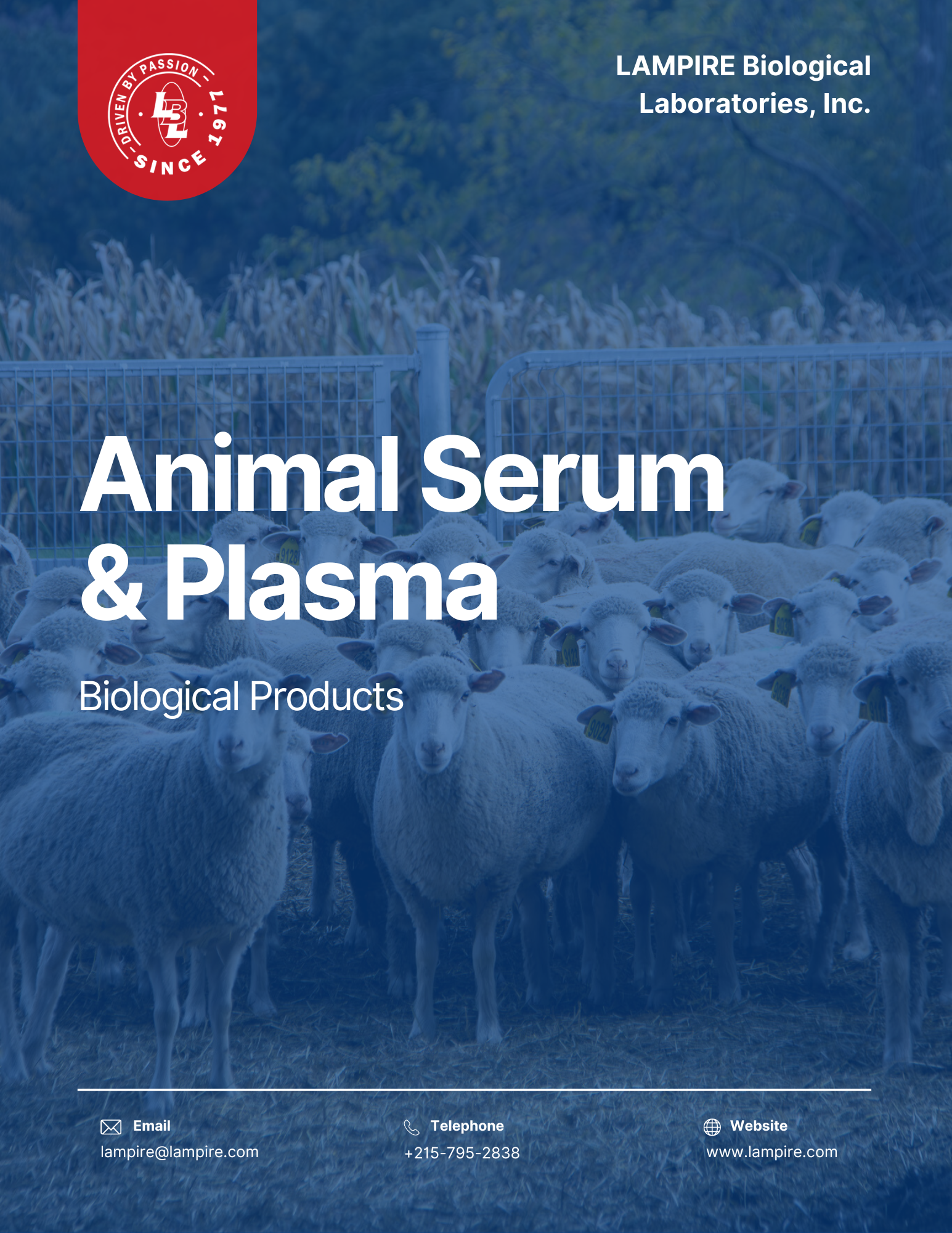 Animal Serum + Plasma
