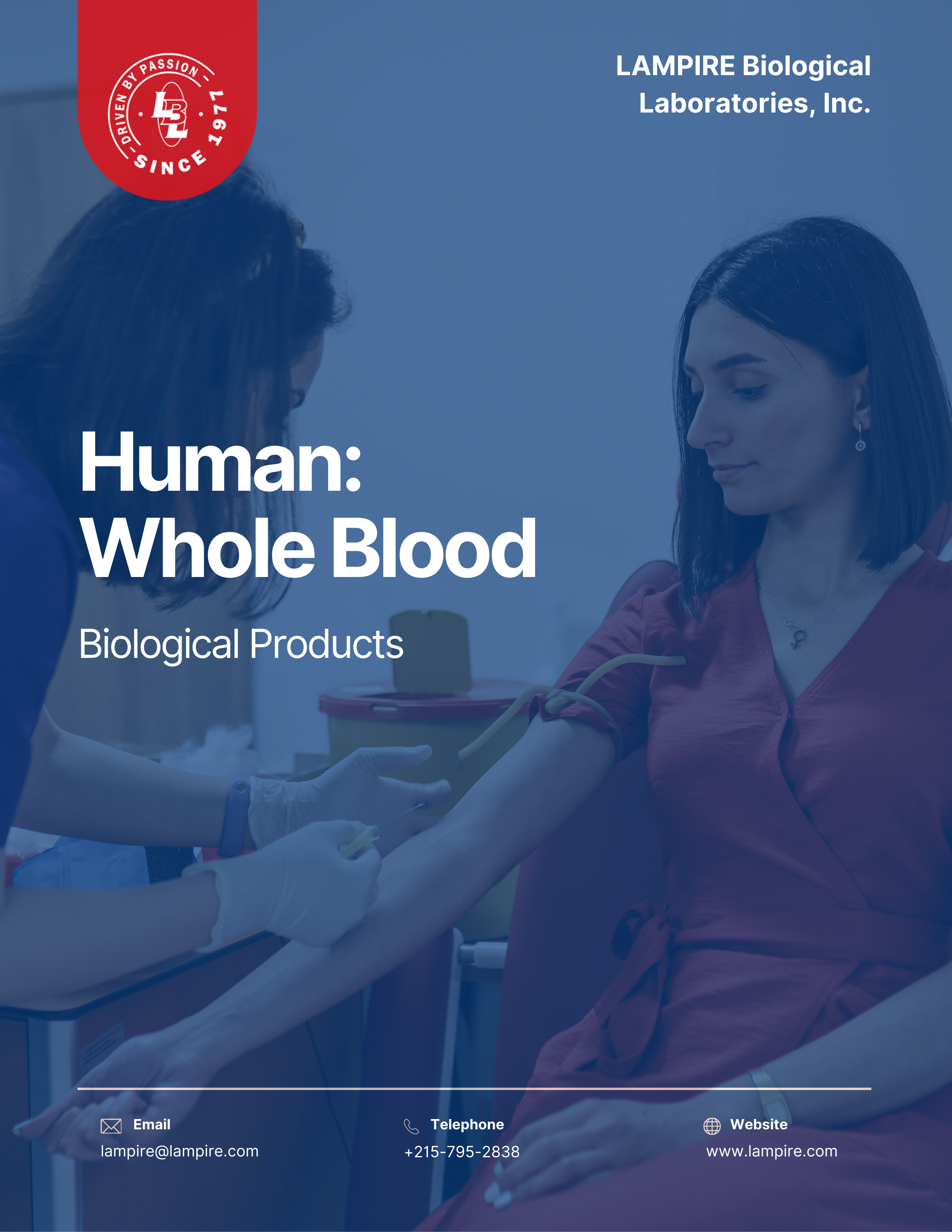 Human Blood 