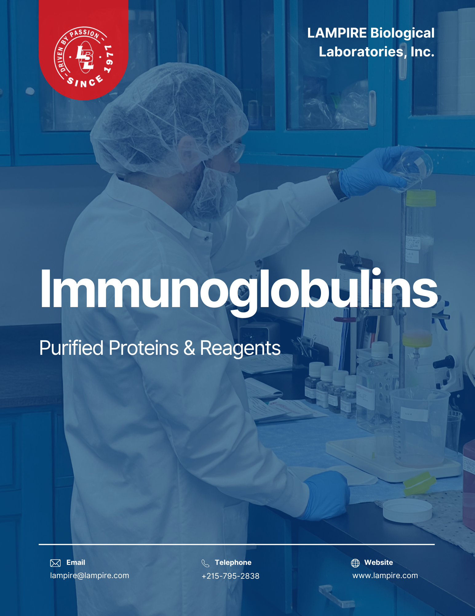 Immunoglobulins 