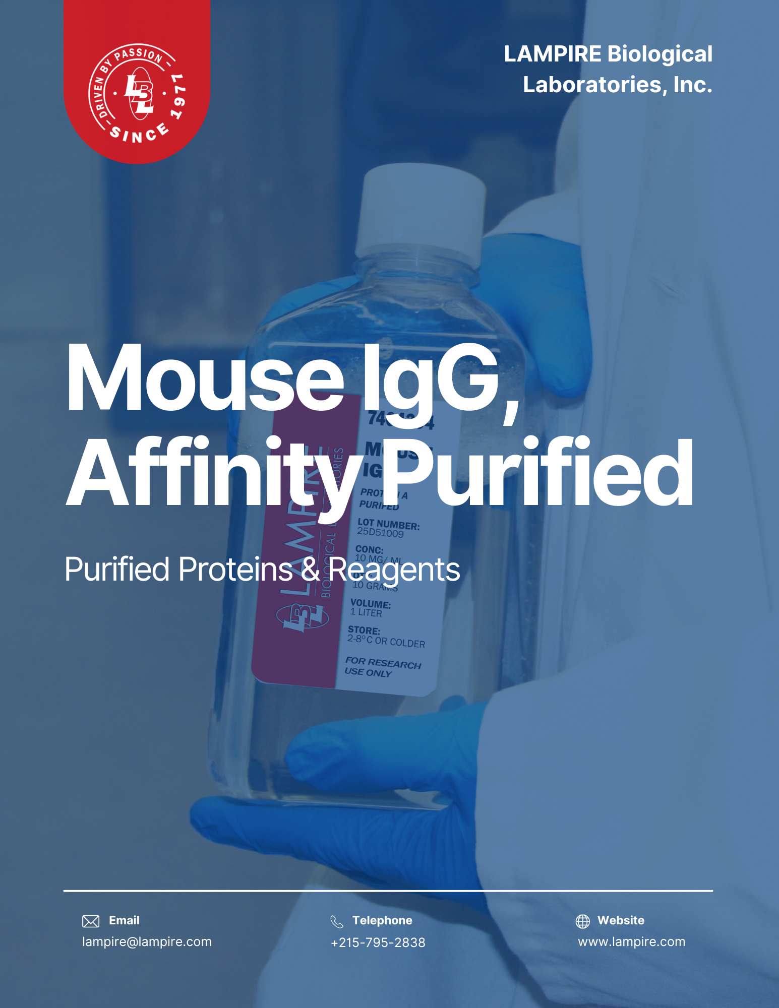 Mouse IgG