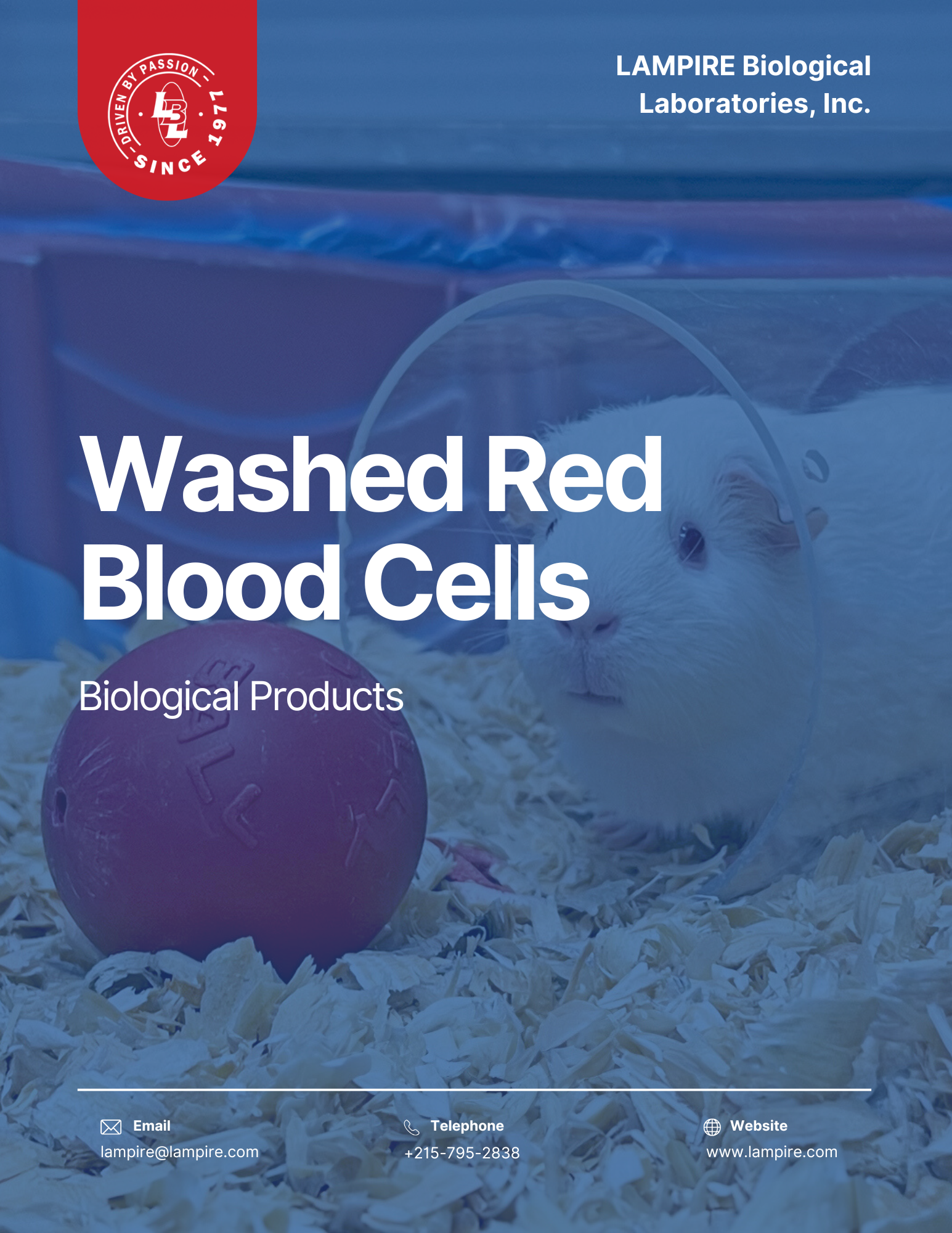 Washed Blood Cells