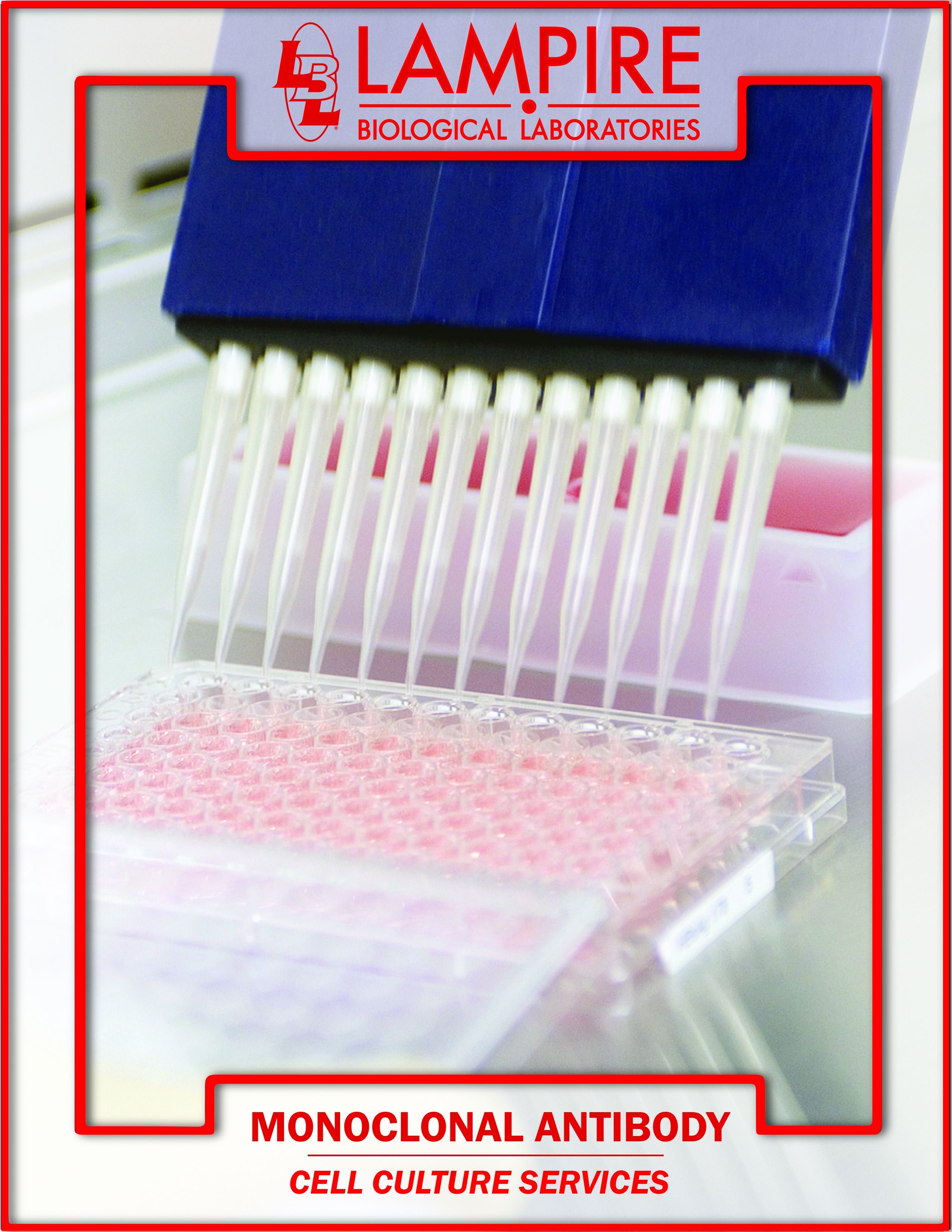 Mono Antibody cell culture services