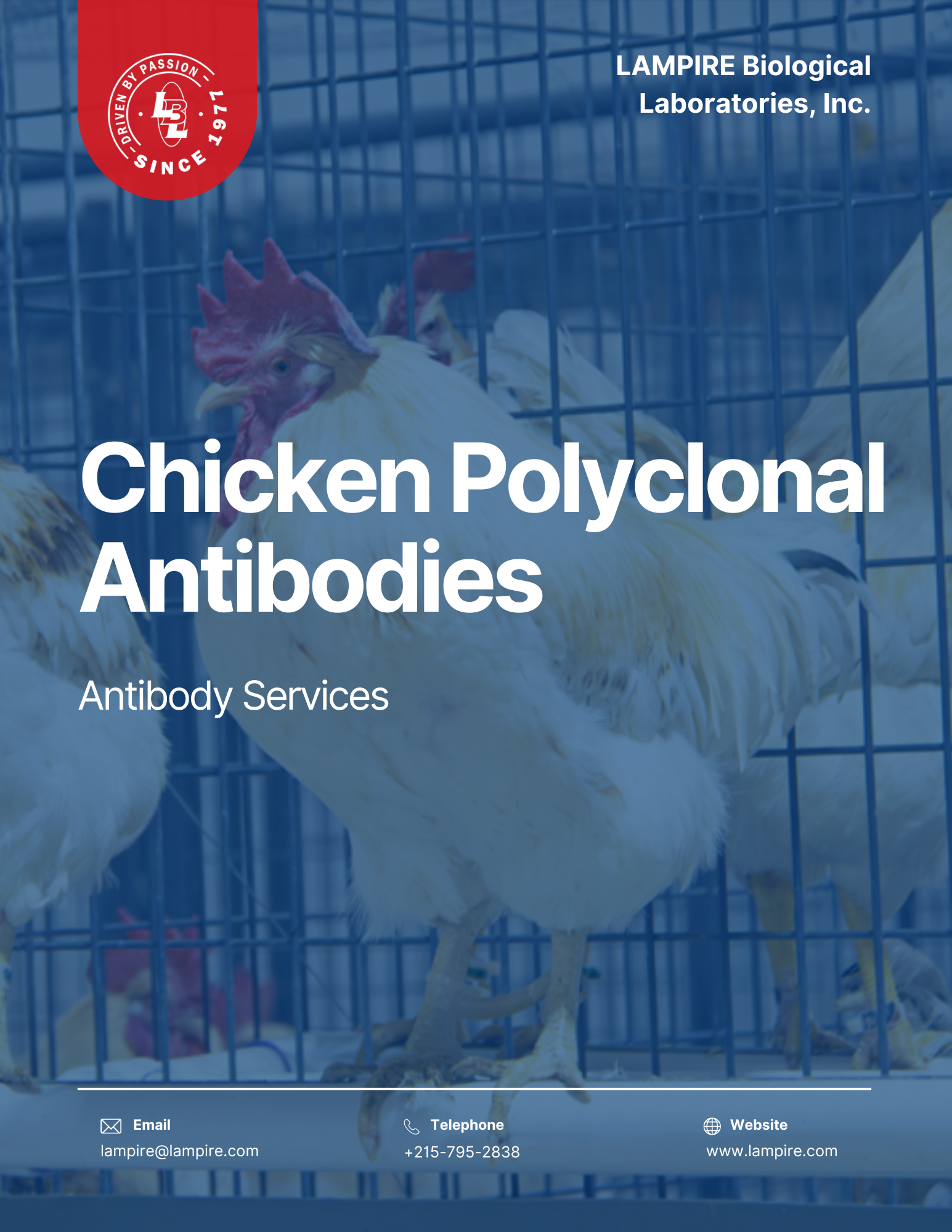 Chicken Polyclonal Antibodies
