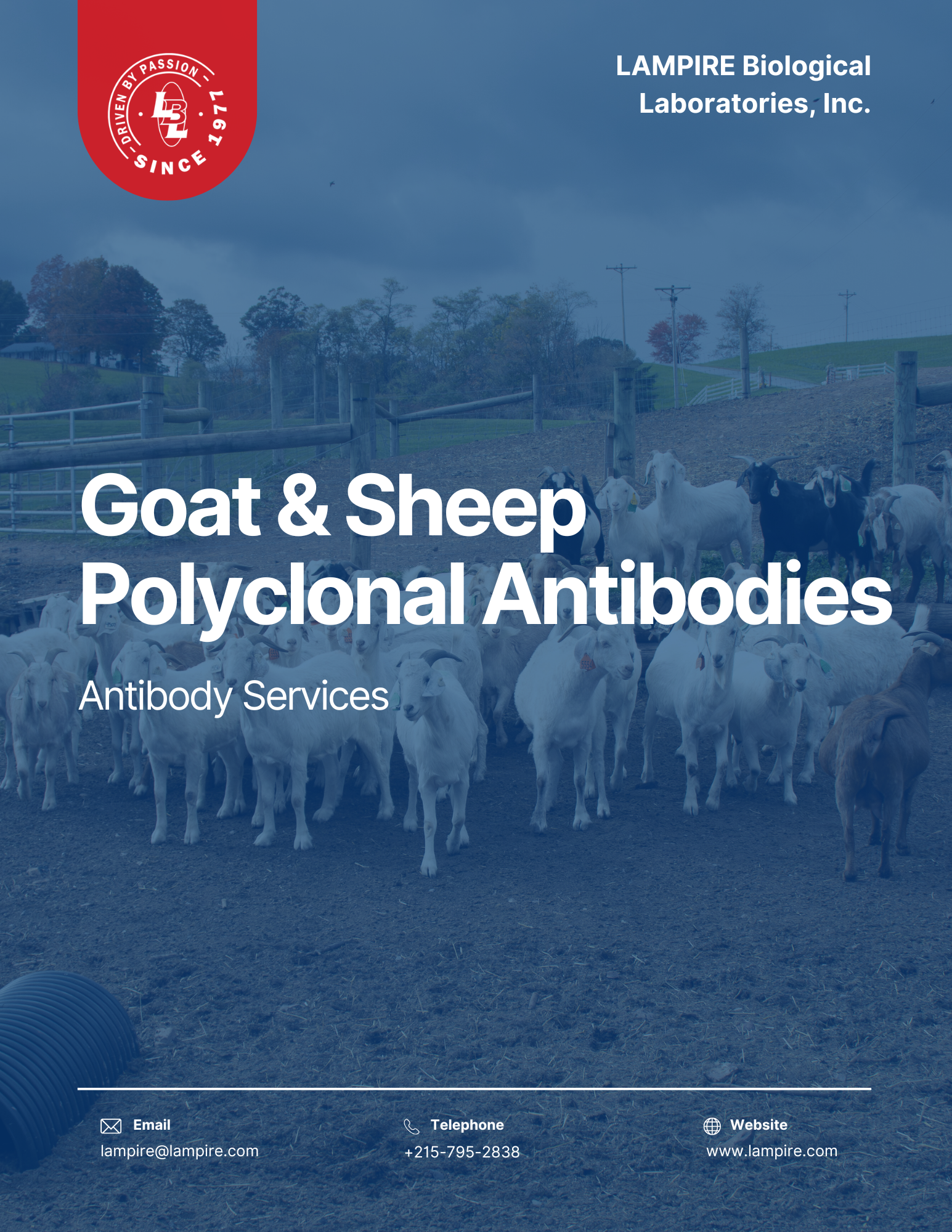 Goat/Sheep Polyclonal Antibodies