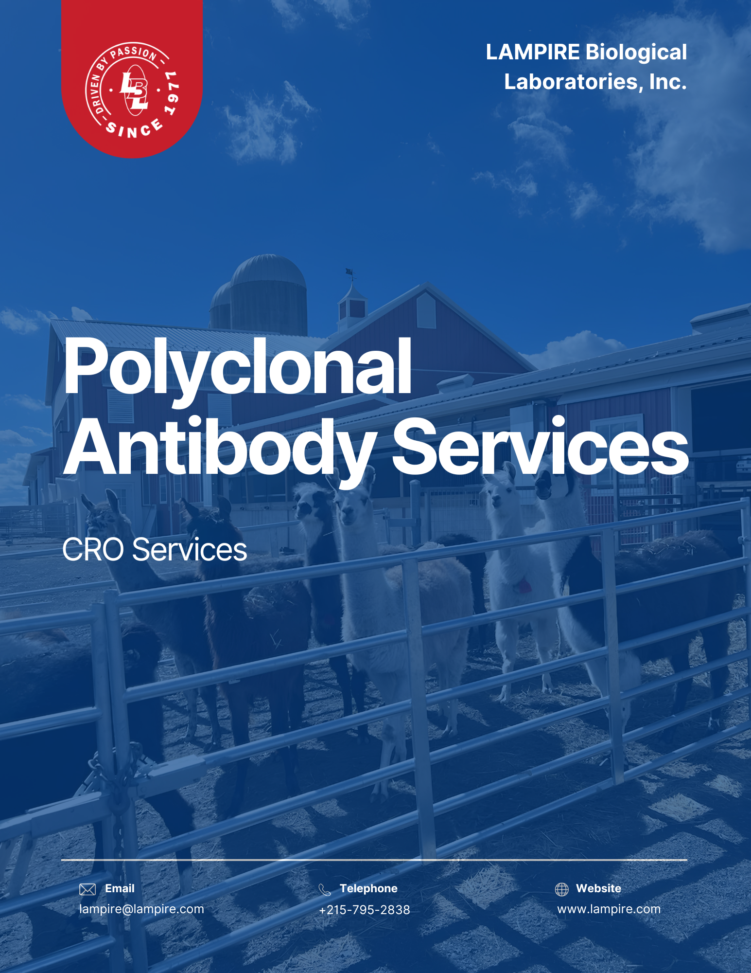 Polyclonal Antibody Services