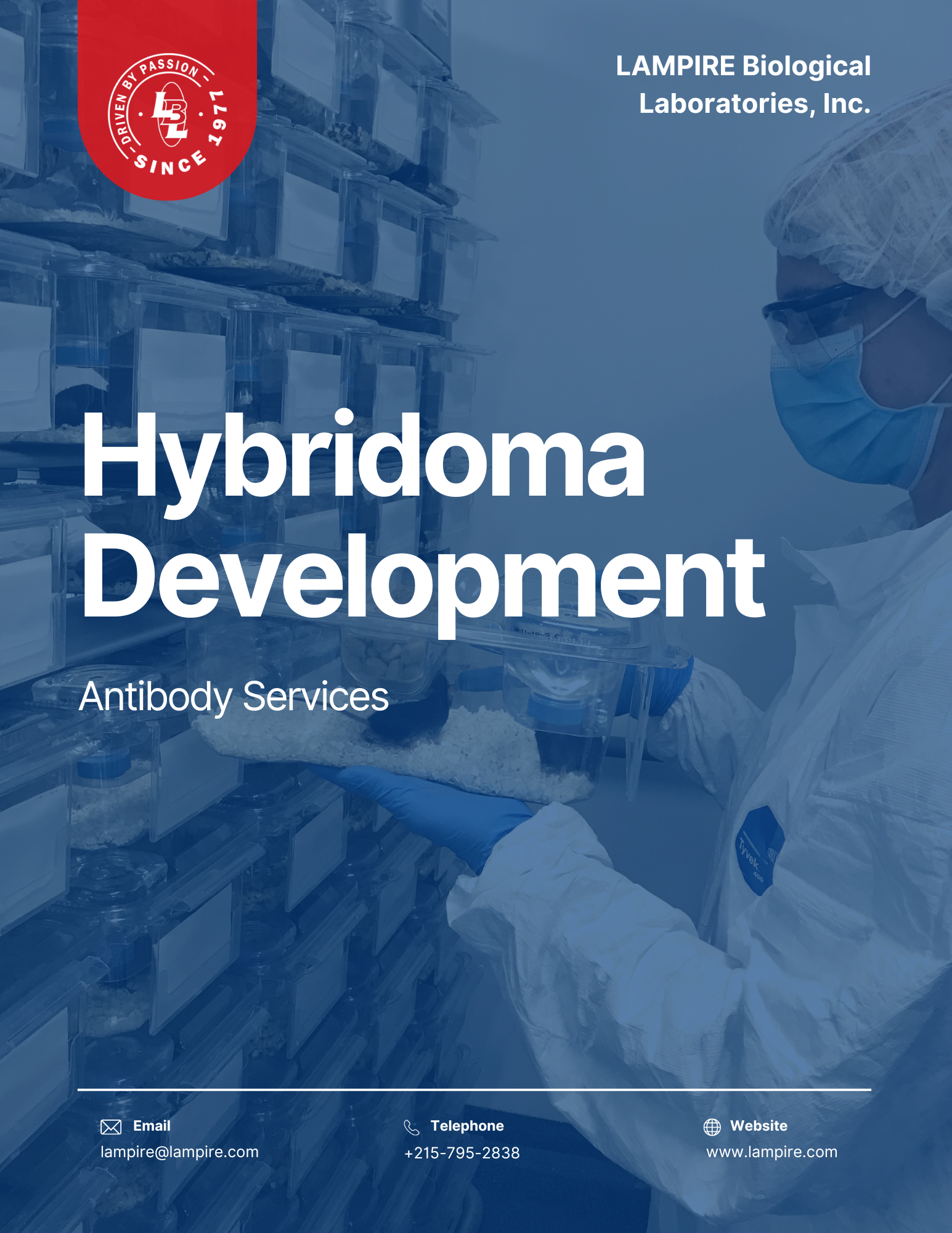 Hybridoma Development