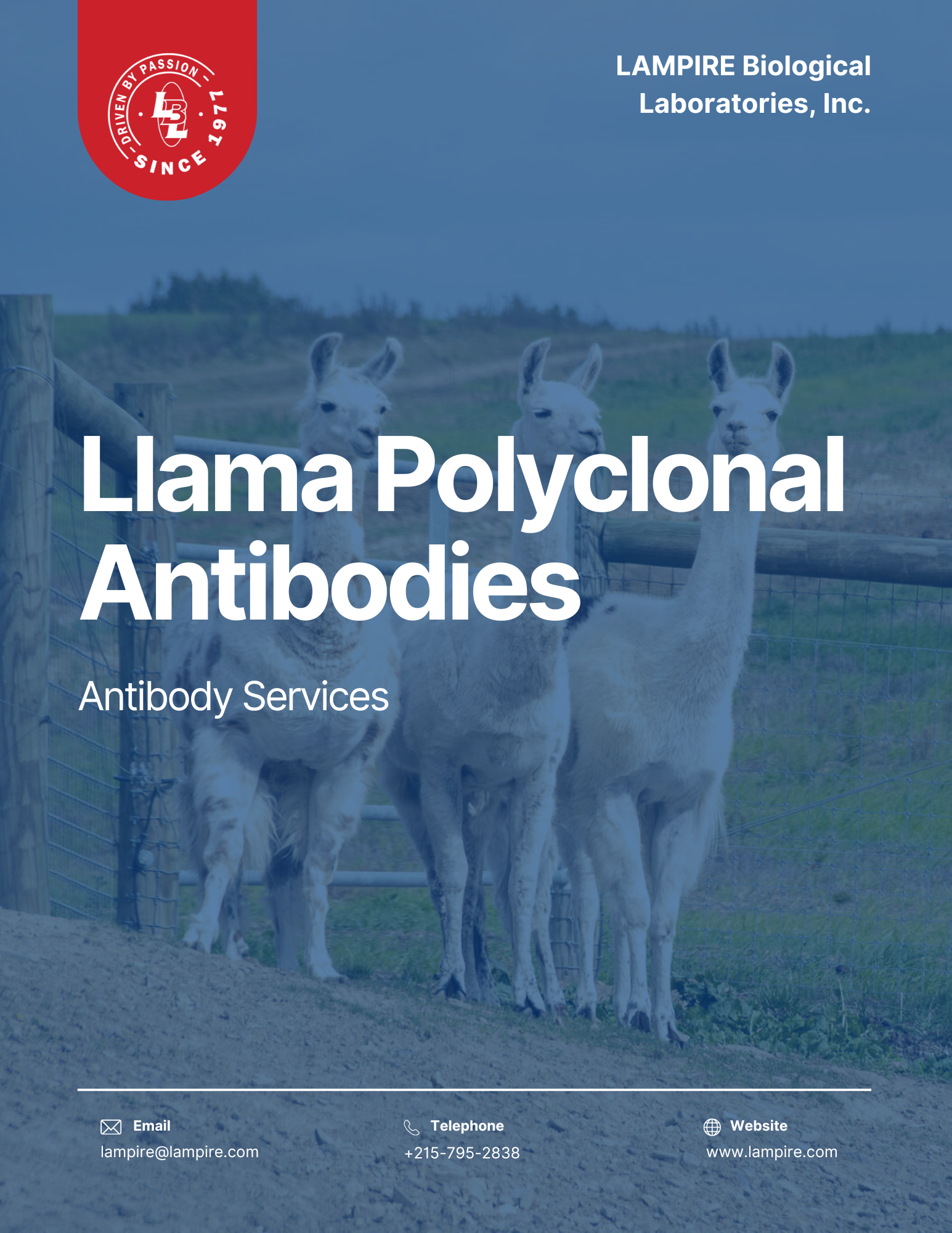 Llama Polyclonal Antibodies