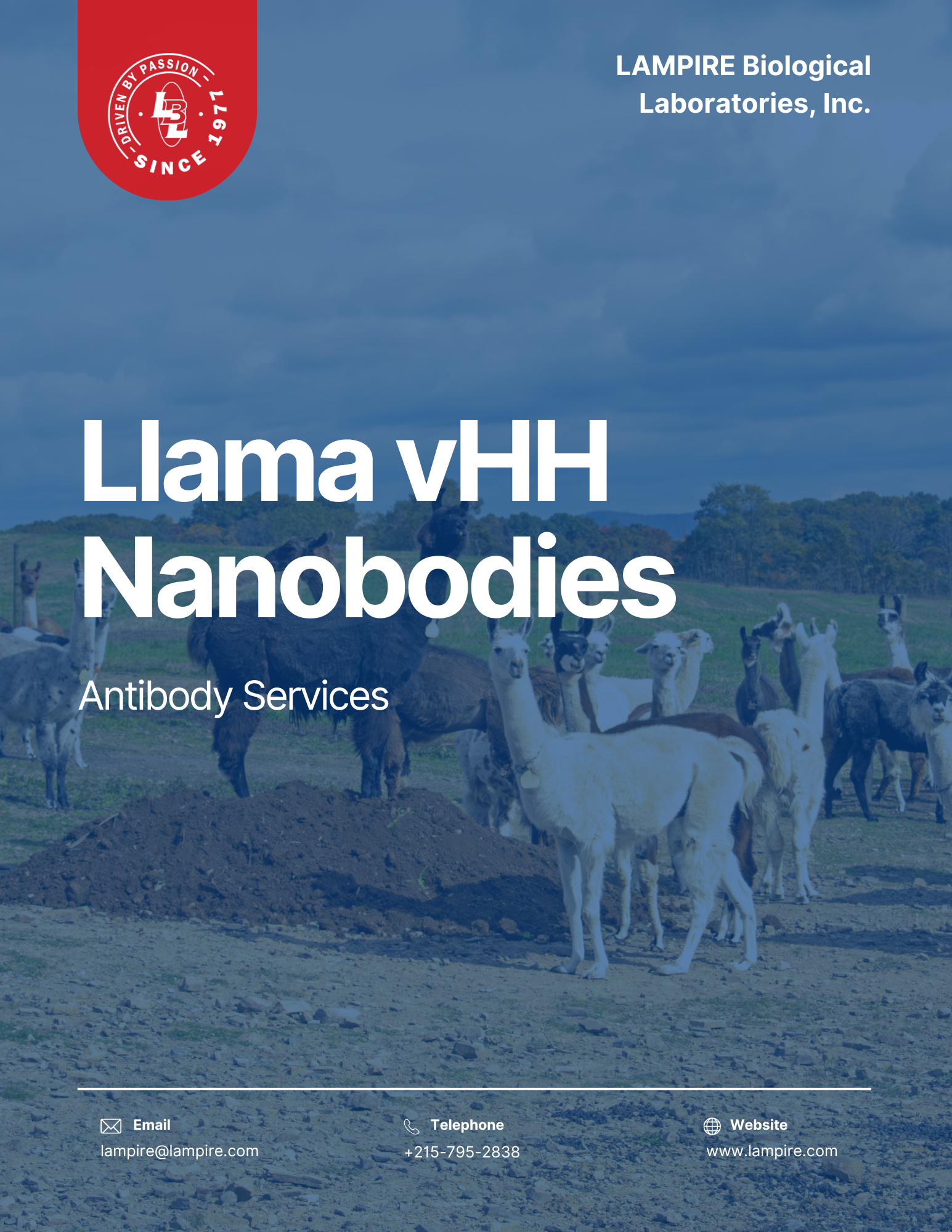 Llama vHH Nanobodies