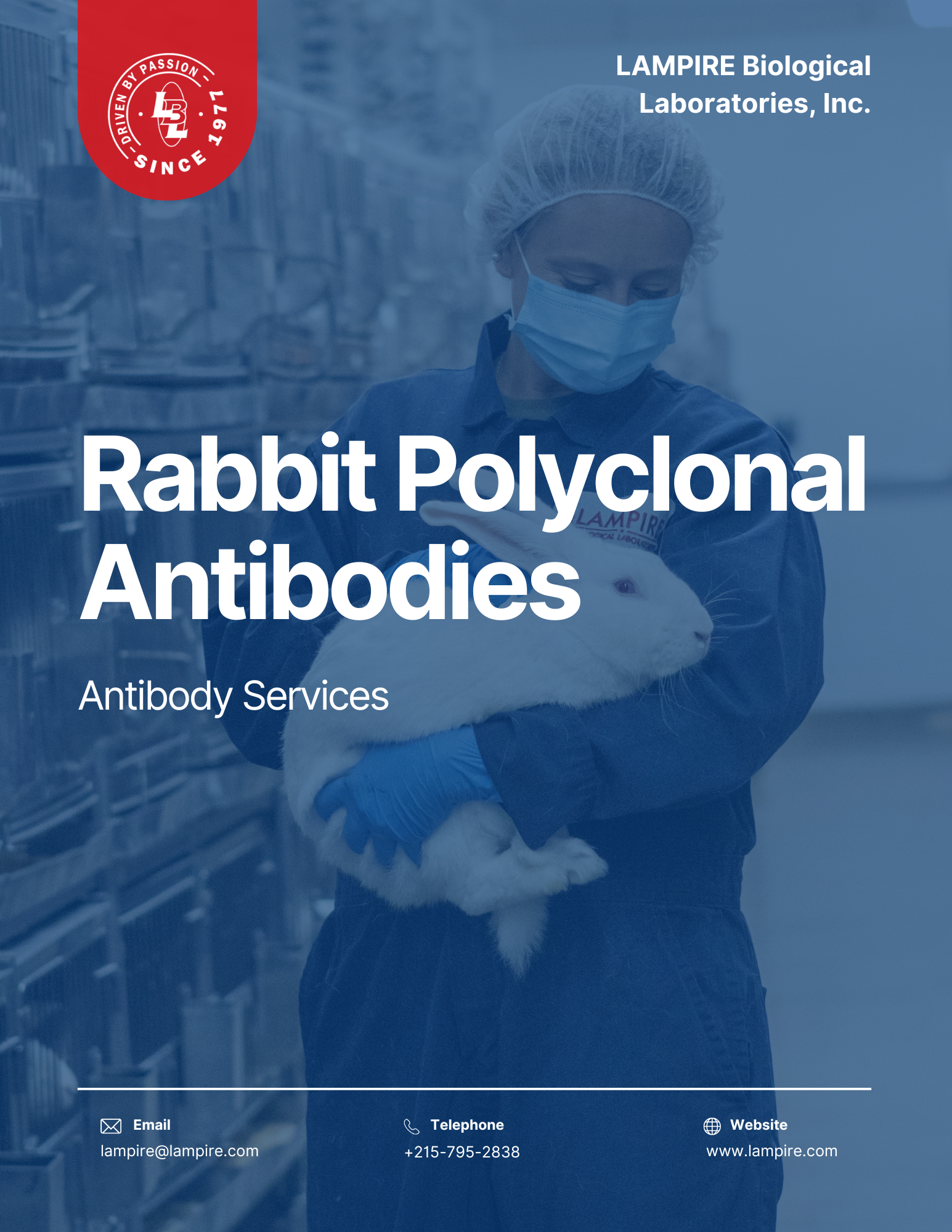 Rabbit Polyclonal Antibodies